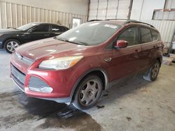 Salvage cars for sale at Abilene, TX auction: 2014 Ford Escape SE