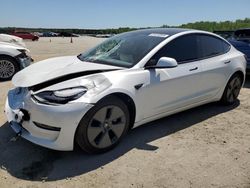 Salvage cars for sale at Spartanburg, SC auction: 2021 Tesla Model 3