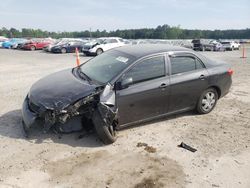 Salvage cars for sale at Lumberton, NC auction: 2010 Toyota Corolla Base