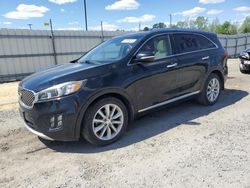 Salvage cars for sale at Lumberton, NC auction: 2016 KIA Sorento SX