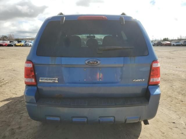 2009 Ford Escape XLT