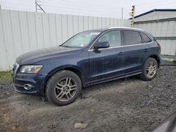 Salvage cars for sale from Copart Albany, NY: 2010 Audi Q5 Premium Plus