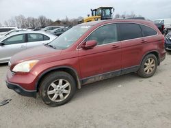 Salvage cars for sale at Duryea, PA auction: 2008 Honda CR-V EXL