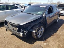 Salvage cars for sale at Elgin, IL auction: 2014 Nissan Maxima S