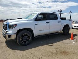Salvage cars for sale from Copart Brighton, CO: 2019 Toyota Tundra Crewmax SR5