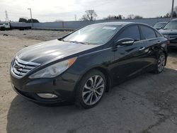 Hyundai Sonata salvage cars for sale: 2013 Hyundai Sonata SE