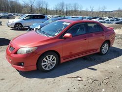 Salvage cars for sale at Marlboro, NY auction: 2009 Toyota Corolla Base