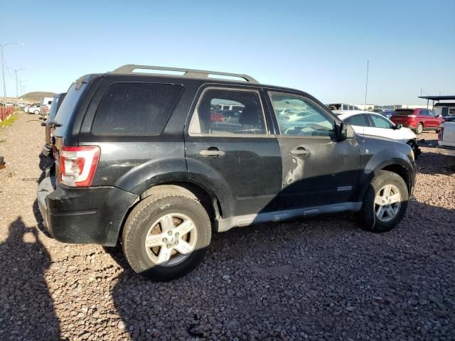 2008 Ford Escape HEV