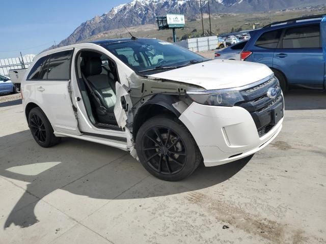 2014 Ford Edge Sport