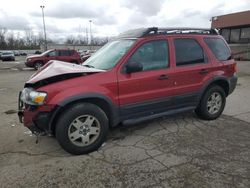 Salvage cars for sale at Fort Wayne, IN auction: 2005 Ford Escape XLT