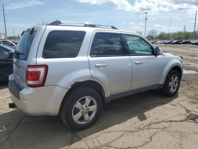 2010 Ford Escape Limited