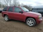 2007 Chevrolet Trailblazer LS