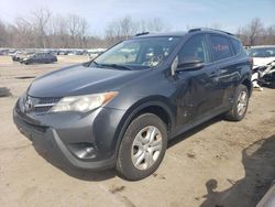 Salvage cars for sale at Marlboro, NY auction: 2013 Toyota Rav4 LE