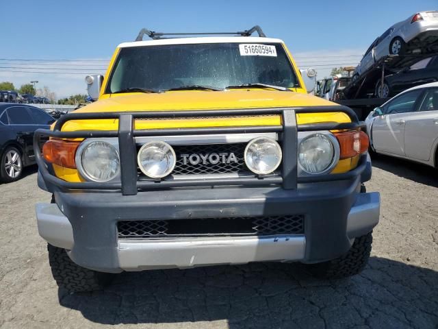 2007 Toyota FJ Cruiser