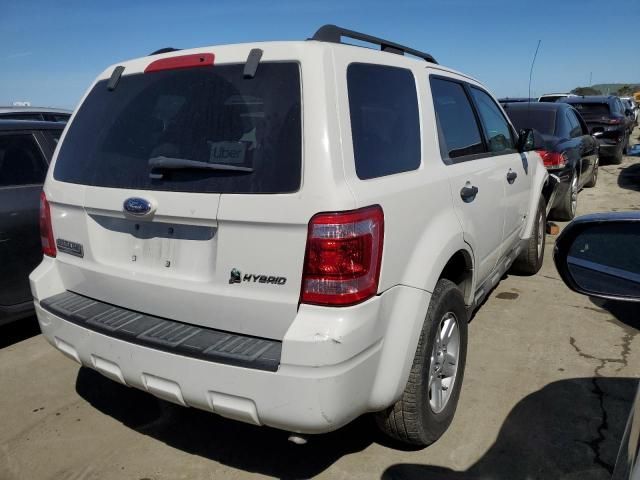 2009 Ford Escape Hybrid