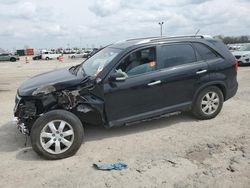 Salvage cars for sale at Indianapolis, IN auction: 2011 KIA Sorento Base