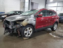 Salvage cars for sale at Ham Lake, MN auction: 2015 Ford Escape SE