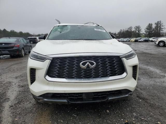 2024 Infiniti QX60 Sensory