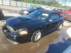 Salvage cars for sale at Harleyville, SC auction: 2002 Ford Mustang GT