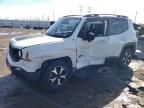 2019 Jeep Renegade Trailhawk