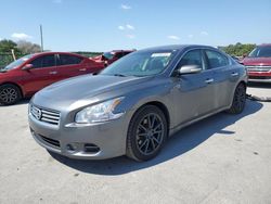 Salvage cars for sale from Copart Orlando, FL: 2014 Nissan Maxima S