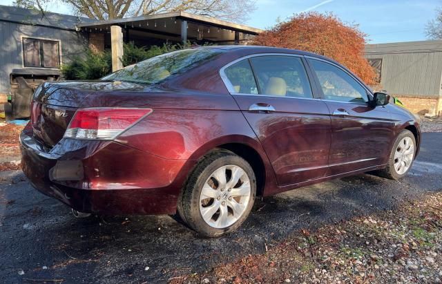 2010 Honda Accord EXL