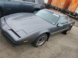 Salvage cars for sale from Copart Wilmer, TX: 1986 Pontiac Firebird