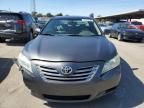 2009 Toyota Camry Hybrid