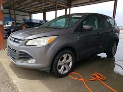 Salvage cars for sale from Copart Riverview, FL: 2014 Ford Escape SE