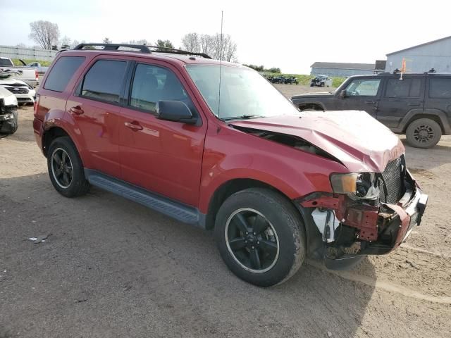 2011 Ford Escape XLT