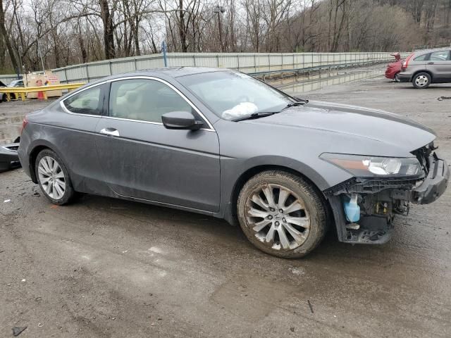 2009 Honda Accord EXL