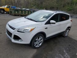 Salvage cars for sale at Marlboro, NY auction: 2014 Ford Escape Titanium