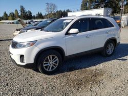 Salvage cars for sale at Graham, WA auction: 2014 KIA Sorento LX