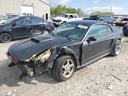 Ford Mustang salvage cars for sale: 2002 Ford Mustang