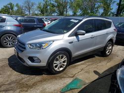 Salvage cars for sale from Copart Bridgeton, MO: 2017 Ford Escape SE