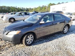 Toyota salvage cars for sale: 2008 Toyota Camry CE