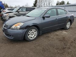 Salvage cars for sale from Copart Ontario Auction, ON: 2009 Nissan Altima 2.5