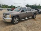 2013 Chevrolet Silverado C1500  LS