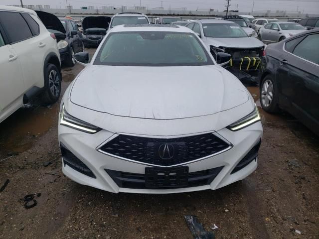 2023 Acura TLX Advance