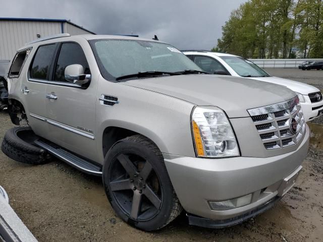 2007 Cadillac Escalade Luxury