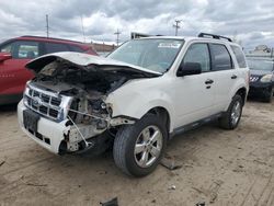 Salvage cars for sale from Copart Chicago Heights, IL: 2010 Ford Escape XLT