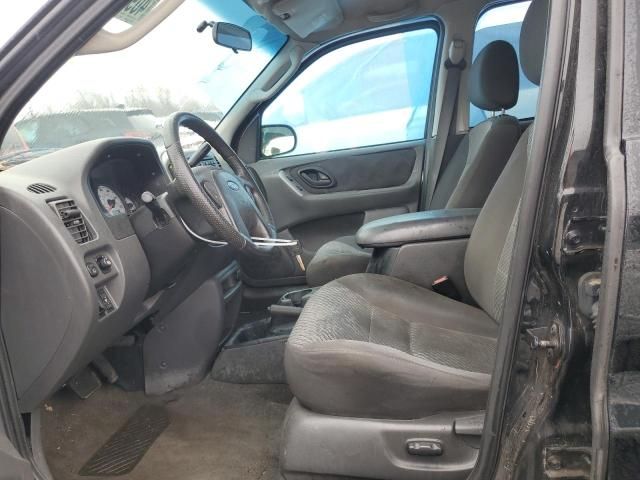 2004 Ford Escape XLT