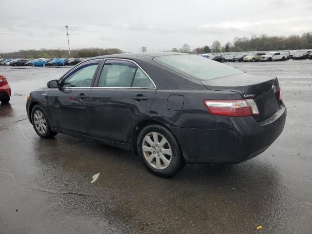 2009 Toyota Camry Hybrid