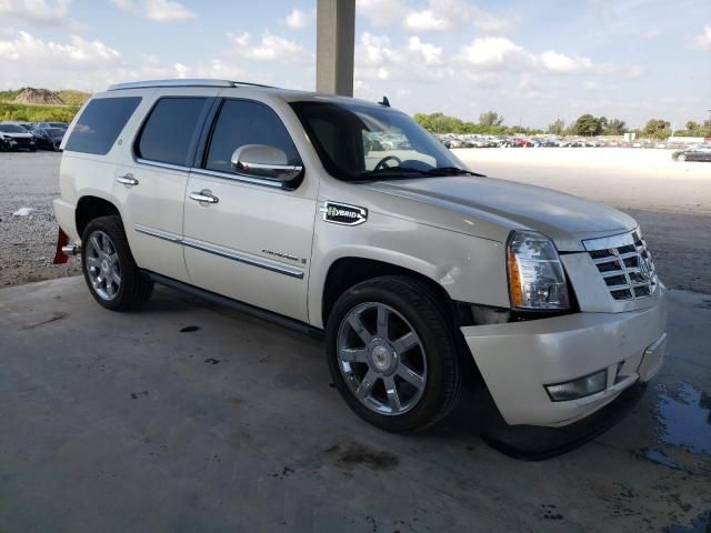 2009 Cadillac Escalade Hybrid