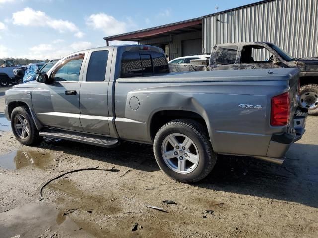 2010 Dodge Dakota SXT