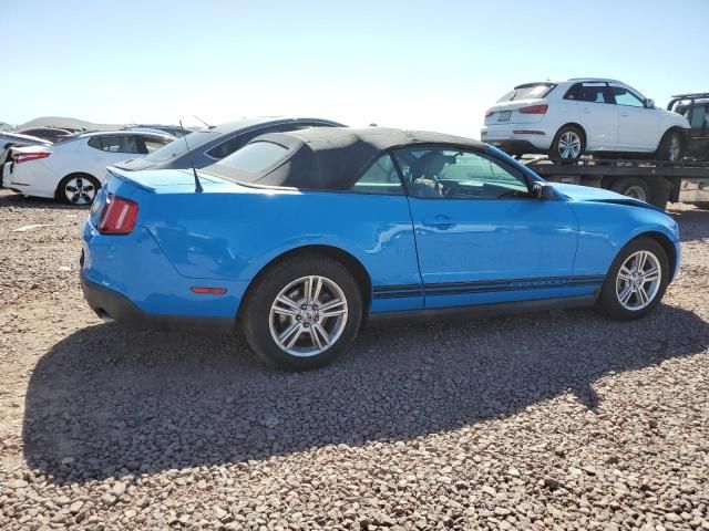 2010 Ford Mustang