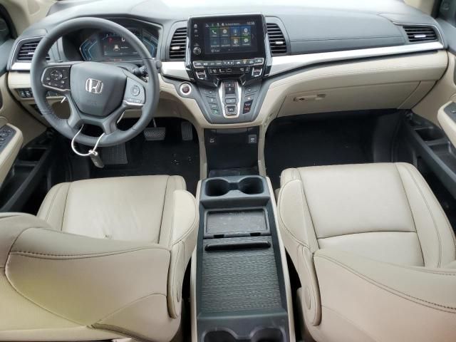 2023 Honda Odyssey EXL
