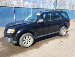 Salvage cars for sale from Copart Moncton, NB: 2010 Mazda Tribute I