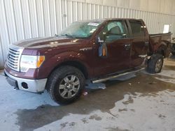 Ford salvage cars for sale: 2010 Ford F150 Supercrew