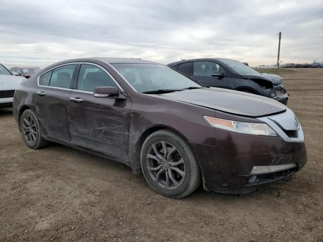 2010 Acura TL